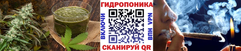 Cannafood конопля  кракен зеркало  Киров 
