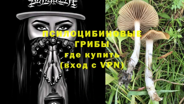 метадон Алексин