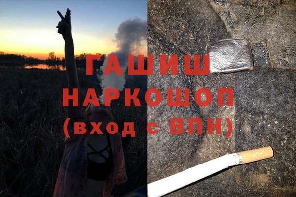 шишки Алзамай