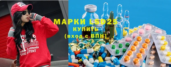 шишки Алзамай